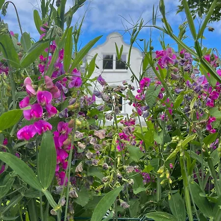 Stranden Westfehmarn *